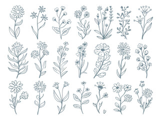 A collection of eighteen hand drawn floral illustrations on a white background