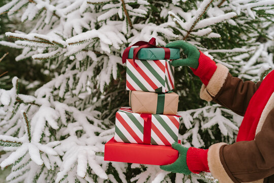 Close-up of a woman in a warm coat and gloves standing by snow covered Christmas fir trees holding a stack of wrapped Christmas gifts