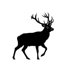 Fototapeta premium Silhouette of a majestic stag with large antlers walking gracefully across a white background image view