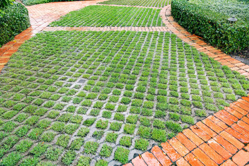 Sustainable landscaping design featuring a permeable concrete paver system with grass growing through the grids, bordered by red clay bricks.
