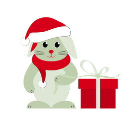 bunny with cap and scarf and gift isolated on white background