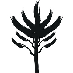 Abstract Black Silhouette of a Stylized Plant with Broad Leaves and a Central Stem on a Transparent Background