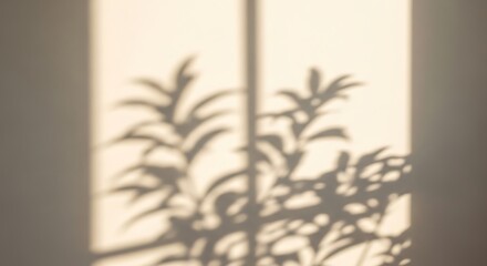 Plant shadow on wall minimalist aesthetic with natural light and texture