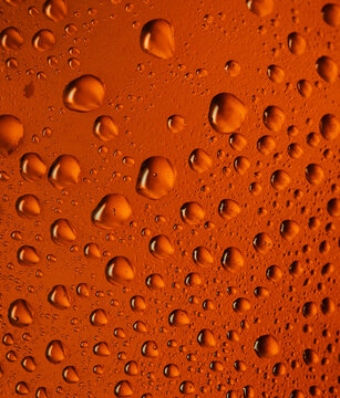 Close-up of brown drops