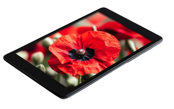 Digital display featuring a Remembrance Day message for honoring military service and sacrifice isolated on transparent background PNG