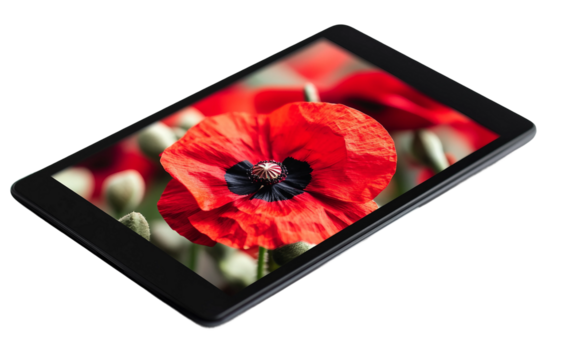 Digital display featuring a Remembrance Day message for honoring military service and sacrifice isolated on transparent background PNG