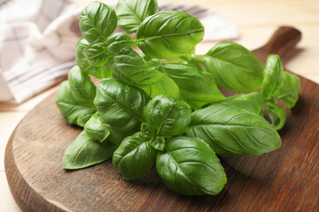 Fresh basil leaves on light table, closeup