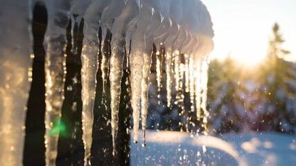 Close-up of melting icicles dripping from a snow-covered roof edge with sunlit forest in the background - Powered by Adobe