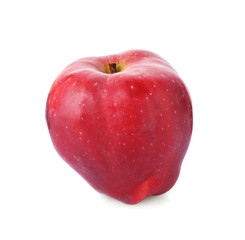 One fresh red apple isolated on white