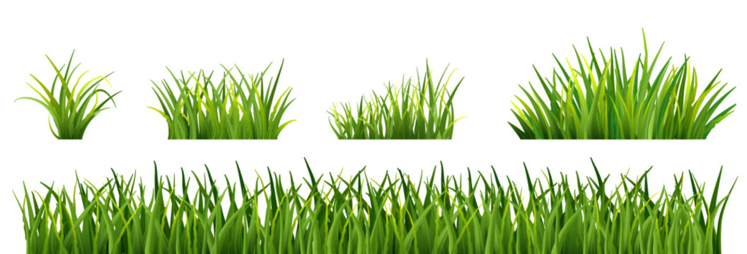 Fresh realistic long grass clusters in various shapes. Green lawn border for spring and summer landscape scenes, nature decor and eco-friendly illustration