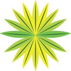 Abstract starburst floral pattern with radiating green and yellow pointed petals symmetrical design on a transparent background featuring a vibrant nature-inspired motif and a central point of focus