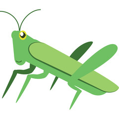 A Cartoon Green Grasshopper Insect With Yellow Eyes And Antennae Standing On Transparent Background