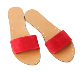 Pair of stylish slipper shoes isolated on white