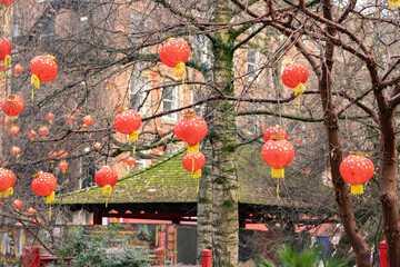 Manchester, uk, January 19th 2025 Red Chinese new year lanterns with yellow tassels decorate a park scene, creating a festive, cultural atmosphere.