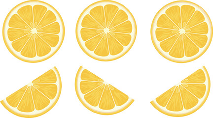 Fresh lemon slice vector set featuring bright yellow citrus segments, juicy detailed textures, and clean modern fruit illustration