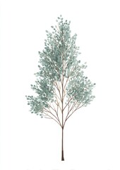 Obraz premium Elegant watercolor tree illustration.