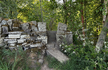 A weathered dry stone wall with a built in step nestles amid lush greenery, where wildflowers brighten the woodland paths of Judy Woods, Wyke, UK.