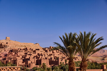 Ait ben haddou, a historic ksar, shows its earthen construction in the bright sunlight. Two palm trees stand in the foreground of the mountain