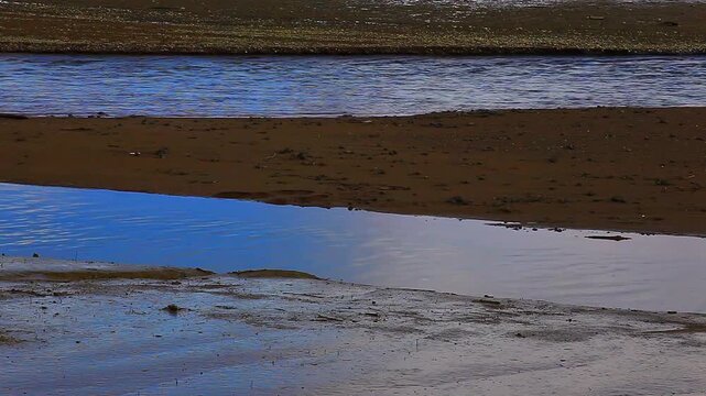  video of Kennedy Creek/ Puget Sound shoreline at low tide in Washington State