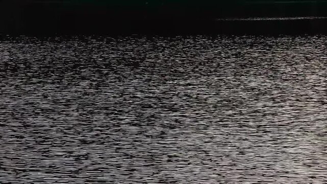 a video of Lake Cushman in Olympic National Park Washington State