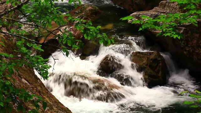  video of Paradise River rapids in Mount Rainier National Park Washington State