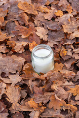 Glass jar filled with white liquid is surrounded by a bed of autumn leaves, showcasing nature's beauty and seasonal change in a tranquil outdoor setting
