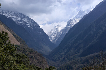 Fototapeta premium A view of the valley on the route to Annapurna Base Camp in Nepal. The Himalayas are visible, showcasing snowy peaks and dense forests along the trekking path