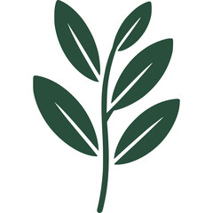 Olive Branch Vector Icon