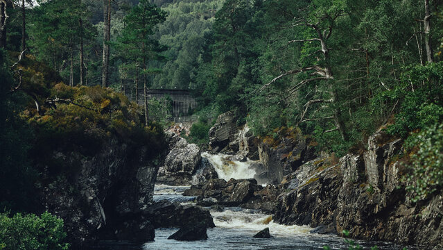waterfall in the mountains and fores