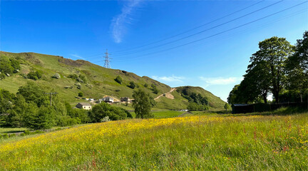 A lush green field with vibrant yellow flowers stretches towards gentle hills under a clear blue sky. Trees and a few scattered houses enhance the peaceful landscape near Todmorden, UK