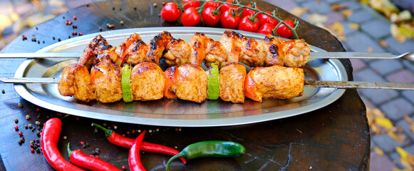 Paneer tikka is an Indian dish made from chunks of cottage cheese marinated in spices and grilled in a tandoor. High quality photo