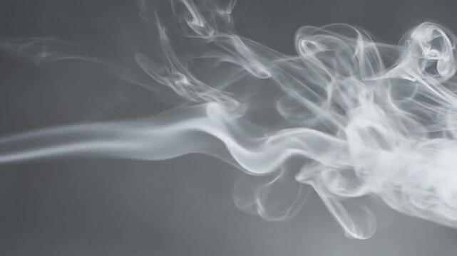 Graceful white smoke swirl on dark background 4k video