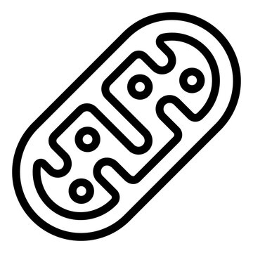 mitochondria outline icon. energy cell. power function. Biology and health