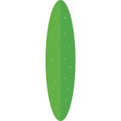 A Vertical Elongated Green Cactus Oval Shape with Small Light Green Spikes Against a White Background with Transparent Background Clipping Path