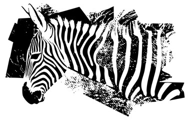 Obraz premium Zebra portrait abstraction in graphic design