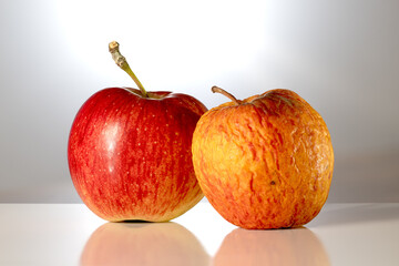Back-lit Studio Shot of Vibrant Apple and Decaying Wrinkled Apple on Reflective Surface