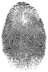 Fingerprint spiral in forensic investigation