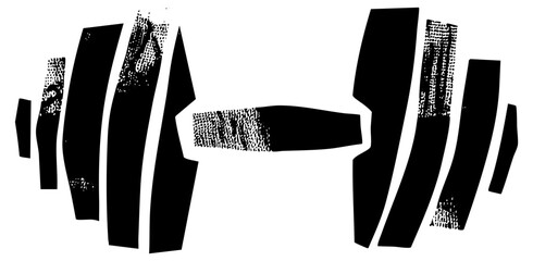 Barbell lifts weight in fitness training