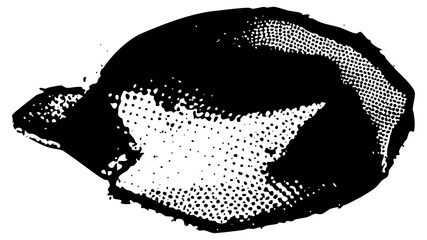 Sleeping Cat rests in halftone