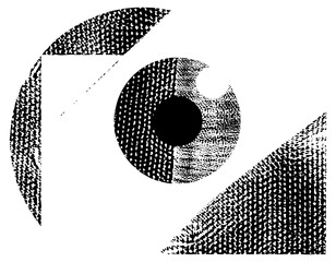 Camera captures portrait in halftone style