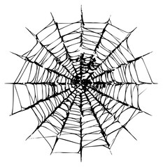 Obraz premium Spiderweb Illustrates Intricacy in Halloween Decor