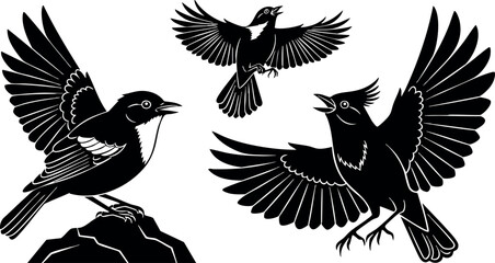 Obraz premium Black silhouette birds flying and perched on rock vector illustration