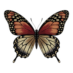 Scrapbooking vintage butterfly. Cartoon illustration isolated on white background.