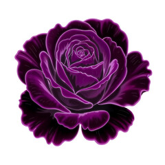 Rose flower clipart. Cartoon illustration isolated on white background.