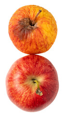 Smooth Red Apple and Wrinkled Aging Apple Comparison - Overhead Vertical Format on Transparent Background