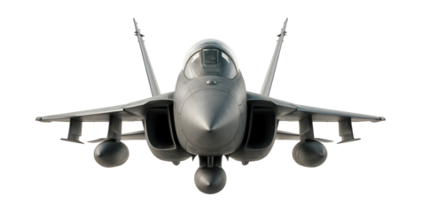 Versatile fighter featuring a spacious canopy and distinct wing fences.