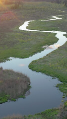 A tranquil river meanders through a vibrant green landscape, reflecting the warm hues of sunset. The scene captures the beauty of nature, with rich textures of water and vegetation. Ao, Estonia.
