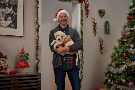 Man wearing Santa hat holds yellow Labrador puppy in festive holiday decorated home