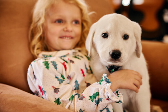 Young girl in festive pajamas cuddles white Labrador puppy on cozy couch at home