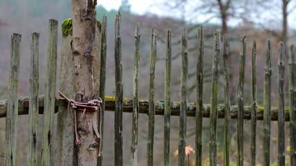 Rustic wooden barrier with aged timber. Moss adorns the posts. A rope is tied around a tree trunk....
